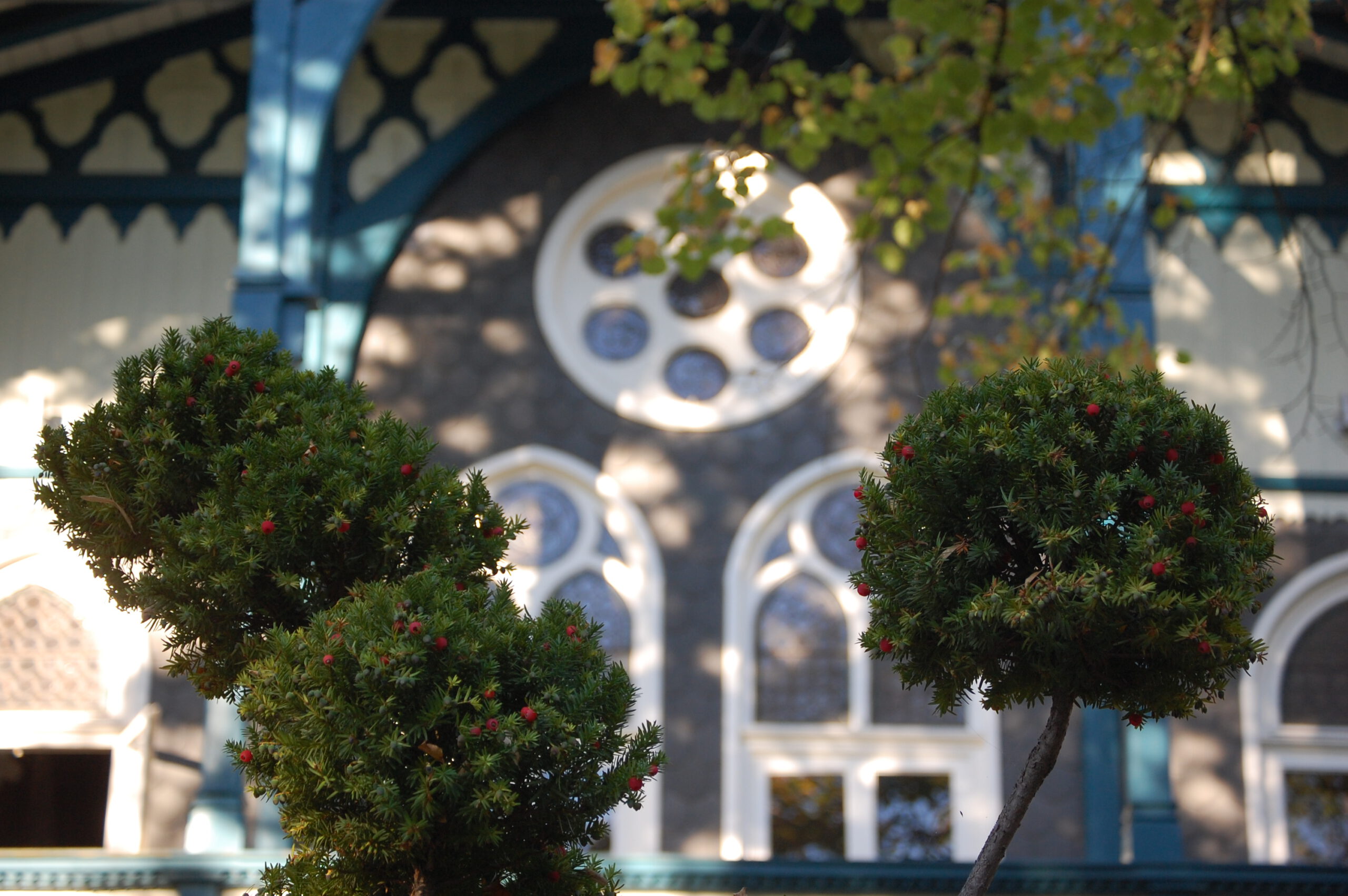 Panorama Saal-30-60-Plätze in Hildesheim für Feiern, Veranstaltungen und Events sowie Hochzeiten und Feiern